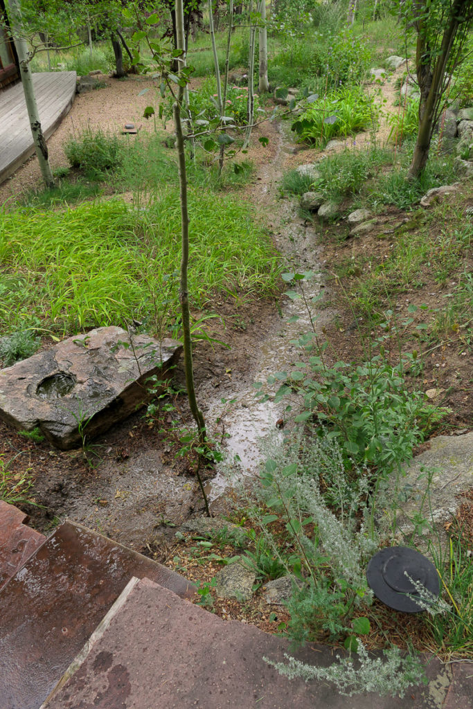 Rainwater irrigated garden